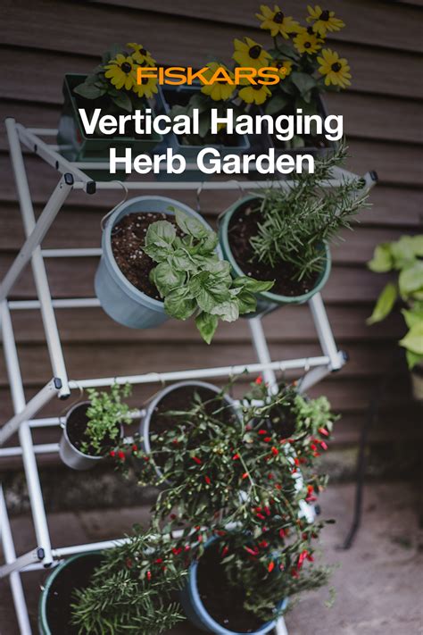 Vertical Herb Gardens Hanging Herb Garden Hanging Herbs Indoor Herb