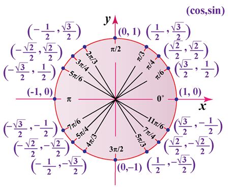 Unit Circle Radians Chart My XXX Hot Girl