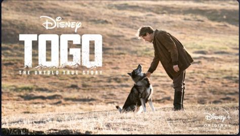 The story of togo, the sled dog who led the 1925 serum run yet was considered by most to be too disney plus boss on how 'the mandalorian's' drama series emmy nom was a huge surprise the events of the film unfold around the drover leonhard seppala and his dog togo, who went together. Disney+ Watch Guide: Week of December 20th, 2019