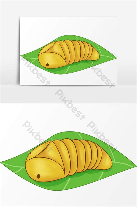 Cartoon Drawing Silkworm Pupa Elements Png Images Psd Free Download