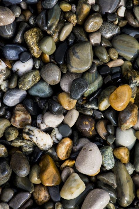 Colorful Pebbles On The Beach Stock Photo Image Of Rock Tranquil
