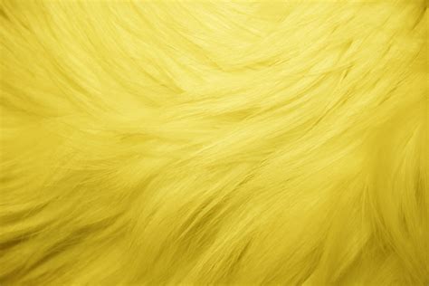 Yellow Fur Texture Picture Free Photograph Photos Public Domain