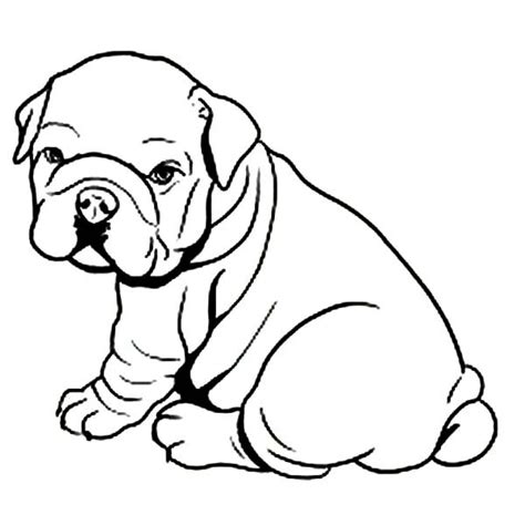 1600 x 1682 png 203 кб. 12 coloring pages of bulldog - Print Color Craft