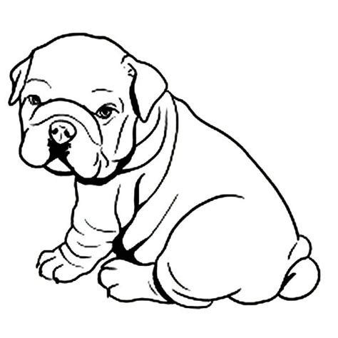 We did not find results for: 12 coloring pages of bulldog - Print Color Craft