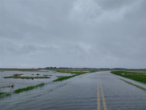 275 best Eastern Shore images on Pholder | Maryland, Whatsthisbug and