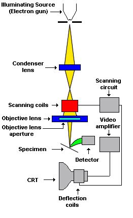 I like the definition of schematic in wikipedia: confocal light microscope | Decoratingspecial.com
