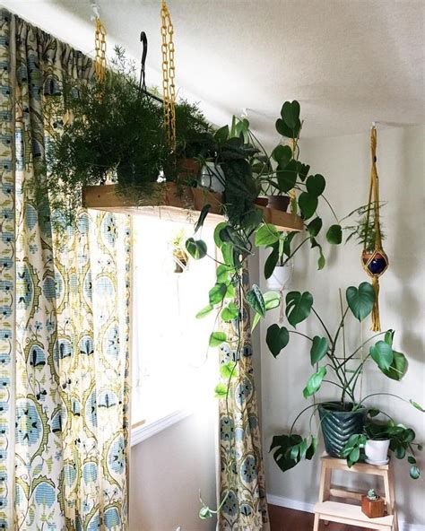 How To Hang Hanging Plants Inside