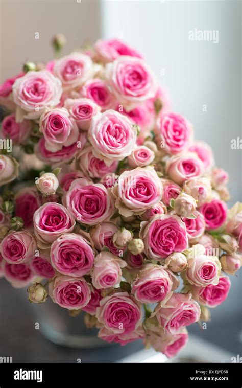 Bouquet Of Mimi Eden Spray Roses On Paris Apartment Balcony Stock Photo