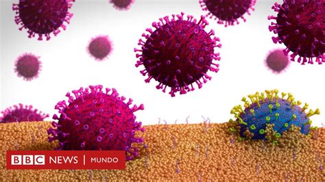 Evolución Del Coronavirus Qué Es La Mutagénesis Letal Y En Qué Medida