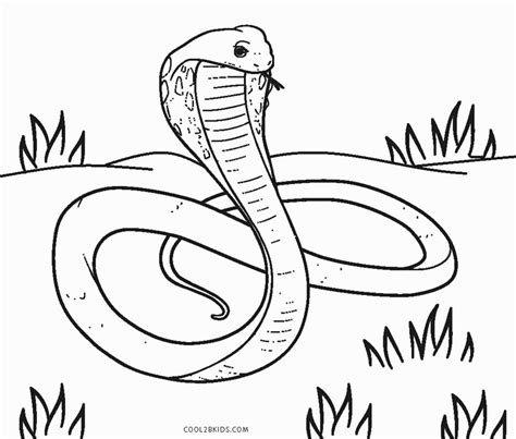 Dibujos De Serpientes Para Colorear Páginas Para Imprimir Gratis