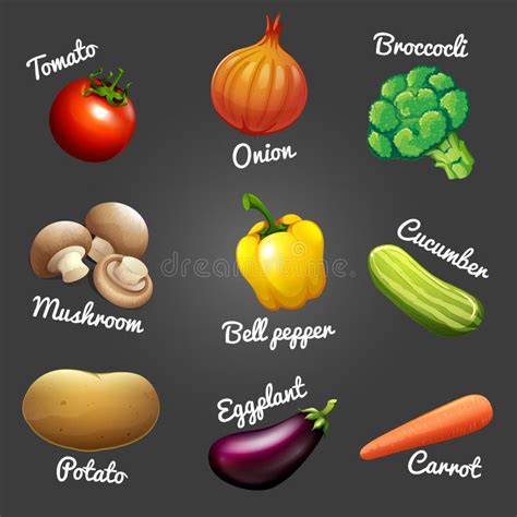 Verduras Frescas Con Nombres Stock De Ilustración Ilustración De