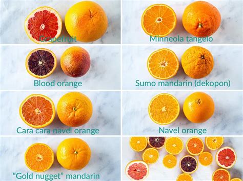 Oranges 101 Learn To Cook This Bright Fruit Prized By The Ancient