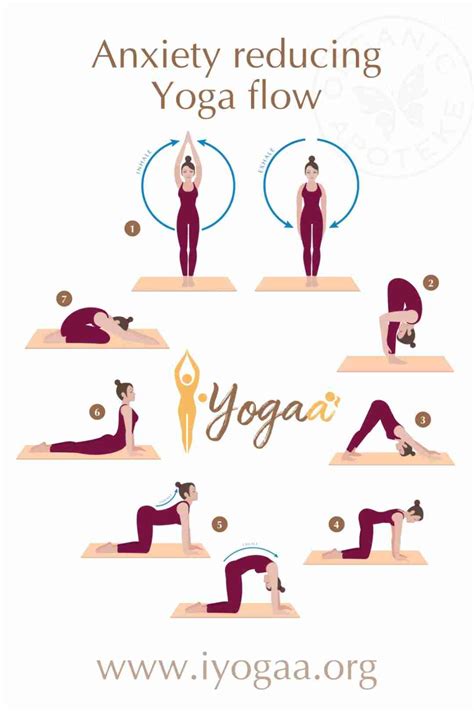 Yoga Flow Can Reduce Anxiety Organic Apoteke
