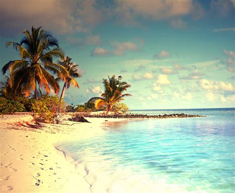 Sea Beach Sand Palm Trees Tropical Water Wallpaper Coolwallpapers Me