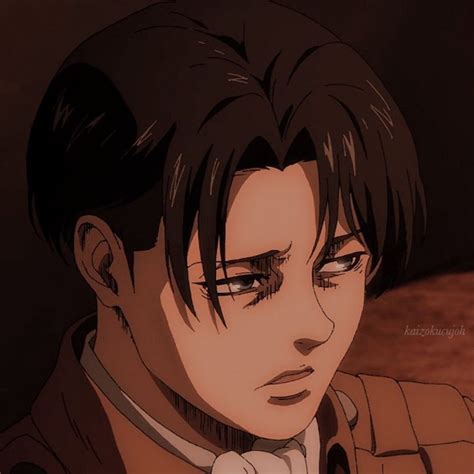 Kaizokucujoh — Levi Ackerman Icons Likereblog If You Save Or In