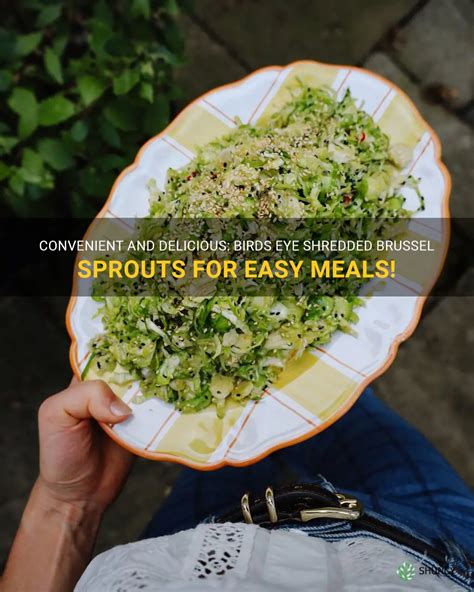 Convenient And Delicious: Birds Eye Shredded Brussel Sprouts For Easy