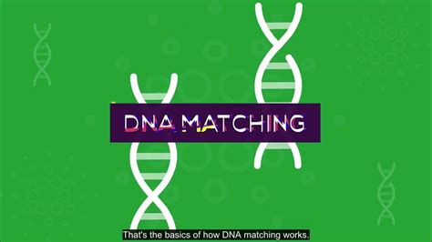 How Does Dna Matching Work Youtube