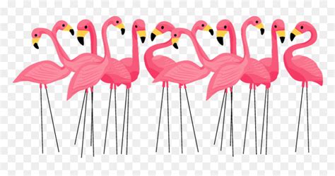 Flamingo Clipart Pink Flamingo Flock Of Flamingos Clip Art Hd Png