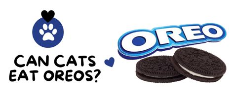 Can Cats Eat Oreos A Guide To Feline Treats Catsmarty