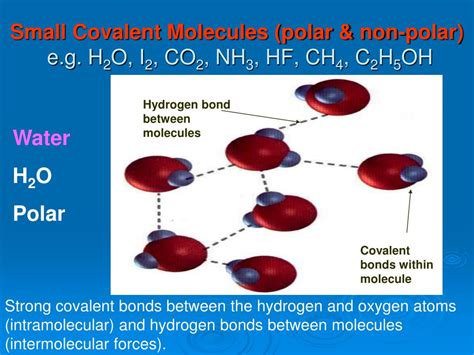 Ppt 45 Physical Properties Of Covalent Molecules Powerpoint