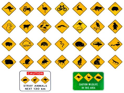 50 Snake Warning Sign In Australia Stock Photos Pictures And Royalty