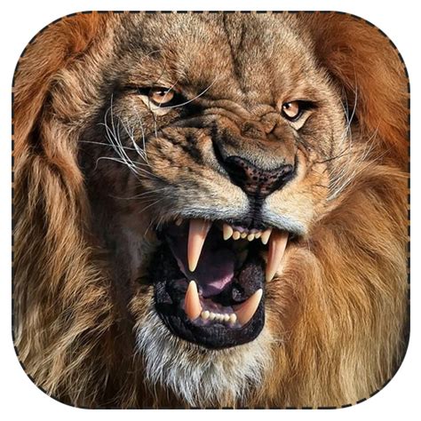 Roar Png Transparent Images Png All