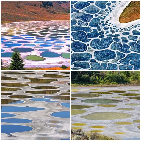 Polka Dot Một Hồ Nước Tuyệt đẹp Có Cảnh Quan độc đáo Tại Canada