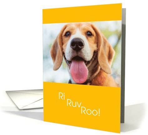 Cute I Love You Dog Ri Ruv Roo Card Cute I Love You Romance Greeting