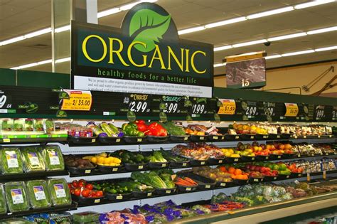 EU panel concludes organic food may offer limited health ...