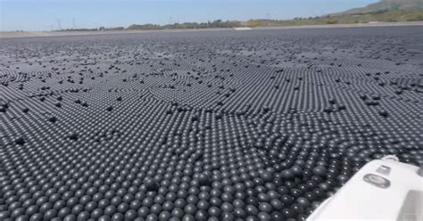 96 Million Black Plastic Balls That Protect This La Reservoir Funny Video Ebaums World