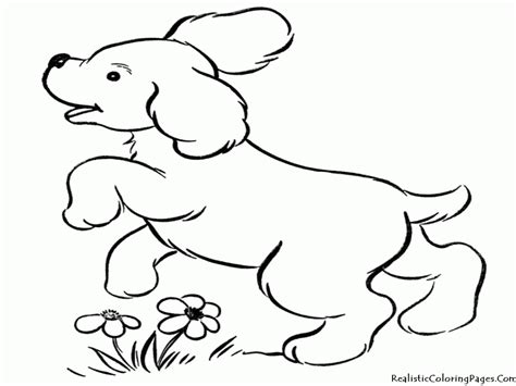 Funny dogs coloring page for kids : Prairie Dog Coloring Page - Coloring Home