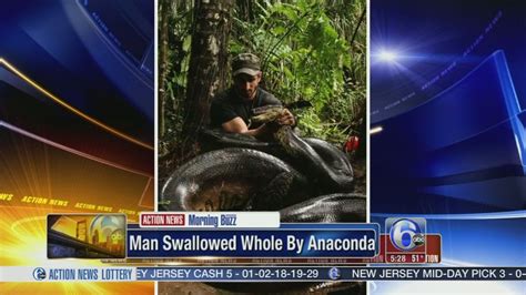 Video Man Swallowed Whole By Anaconda 6abc Philadelphia