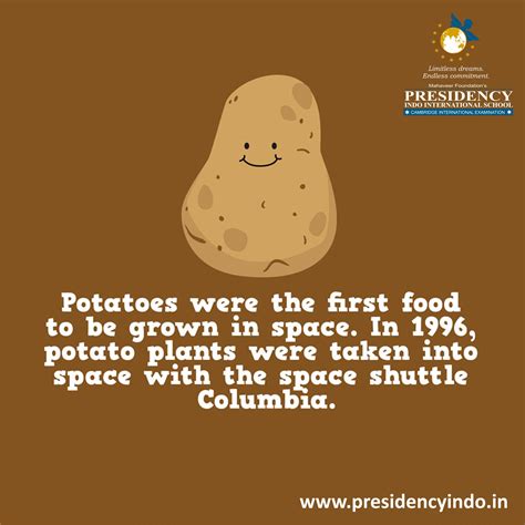 Must know animal facts for kids. Interesting Fact about #Potato #gk #presidencyindo #primary #preprimary #kids | Fun fact friday ...