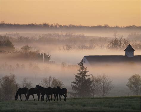 14 Stunning Views Youll Only See In Kentucky