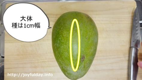 生で食べるのはもちろん、プリンやアイスなどにしても美味しいです。 今回は生で食べる際に食べやすい切り方のご紹介にしてい マンゴーの細い部分を立てて置きます。 中心1cm幅に大きな幅の種が入っています。 ②真ん中の種を切らないようにしながら、種にそって3. Badalii: マンゴー 切り方 向き