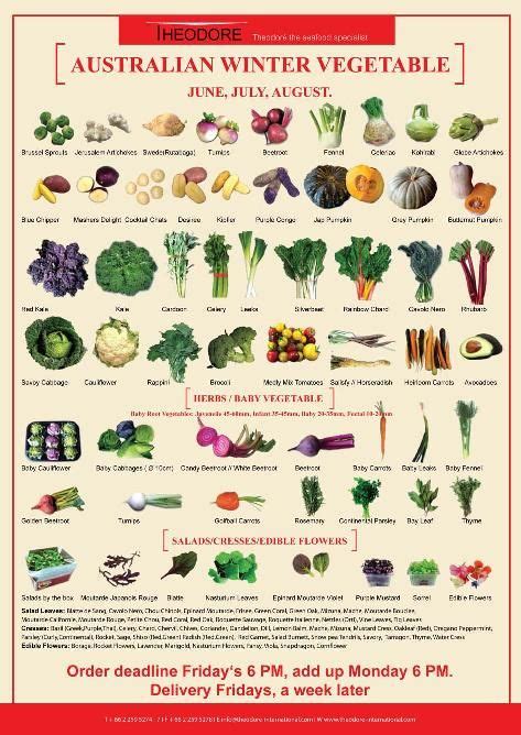 A Great Fruits And Vegetables List Vege Island