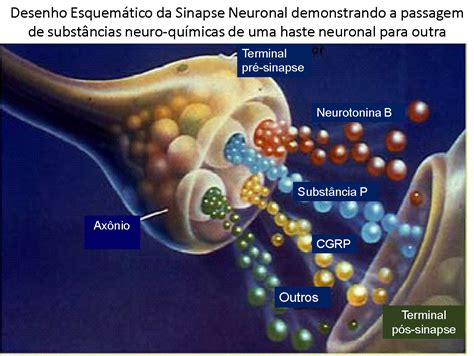 Ação Da Toxina Botulínica