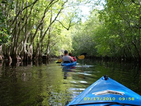 George l smith is a bit out of the way but has much to offer families whether camping or renting one of their cabins. Kayaking... George L Smith State Park | The Great Outdoors ...
