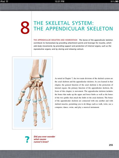 Principles Of Anatomy And Physiology Chapter 8 The