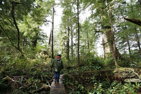 Embrace Indigenous Tourism On Vancouver Island British Columbia