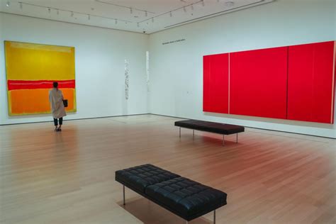 your guide to the new moma insidehook