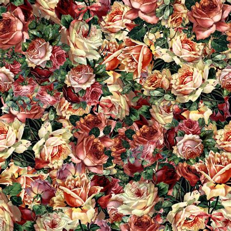 Vintage Rose Wallpapers on WallpaperDog