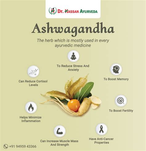Benefits Of Ashwagandha In 2021 Ashwagandha Benefits Ashwagandha