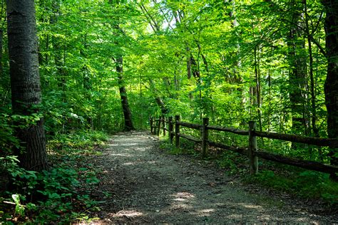 Potato Creek State Park: A Perfect Natural Escape in Northern Indiana