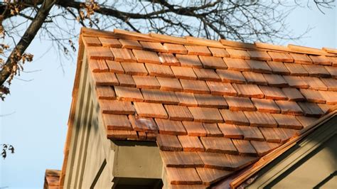 9 Best Roof Maintenance Tips Every Homeowner Should Know Artofit