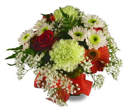 When you need flower delivery to tulsa, ok, allies crown florist is here for you. Ladybugs Flowers & Gifts - Tulsa Flower Shop - Flowers ...