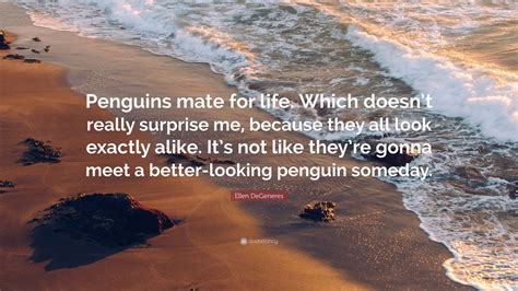 Https://tommynaija.com/quote/penguins Mate For Life Quote