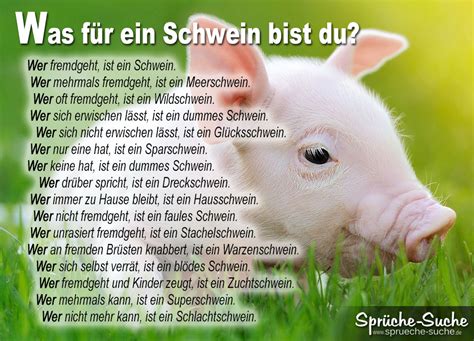 Search, discover and share your favorite whatsapp gifs. Sprüche Was für ein Schwein bist du - Sprüche-Suche