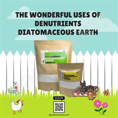 The Wonderful Uses Of Diatomaceous Earth Infographic Guide