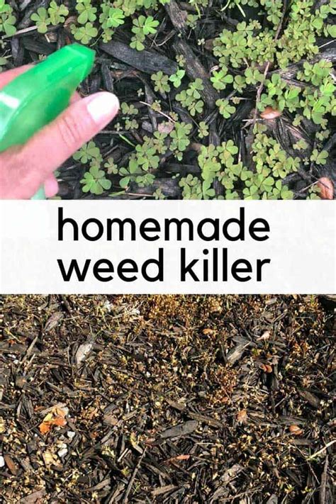Do it yourself lawn weed control. Homemade Weed Killer with Vinegar and Dawn | The Happier Homemaker